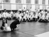 20-lat-centrum-aikido-005