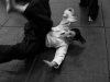 20-lat-centrum-aikido-006