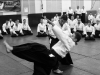 20-lat-centrum-aikido-012