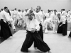 20-lat-centrum-aikido-049