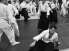 20-lat-centrum-aikido-121